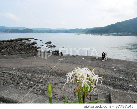 Scenery of Mogushi Bay (Ushibuka-cho, Amakusa City, Kumamoto Prefecture) 97797145