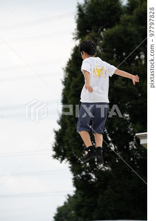 在新綠的襯托下飛向天空 97797828