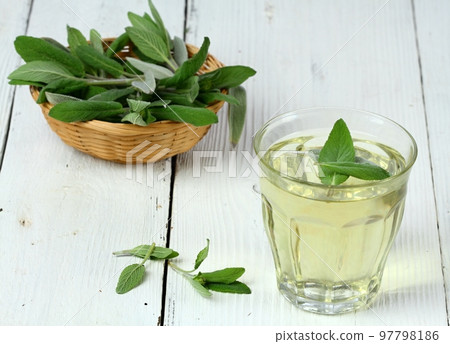 Herbal tea made from sage, Salvia officinalis Herbal tea made from sage, Salvia officinalis 97798186