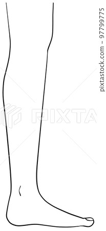 Illustration of the left leg seen from the side - Stock Illustration ...