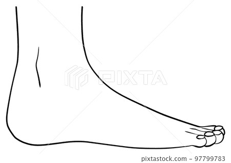 從側面看右腿的插圖 97799783