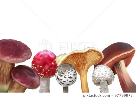 Watercolor frame made of mushrooms. frame with realistic mushrooms. autumn frame 97799972