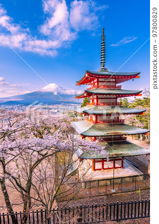[Yamanashi Prefecture Fujiyoshida City] Mt. Fuji seen from Arakurayama Sengen Park in spring April 97800829