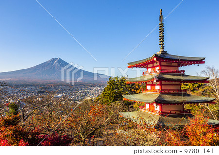 【山梨縣、富士吉田市、新倉山淺間公園】11月的日本秋天，富士山和紅葉 97801141