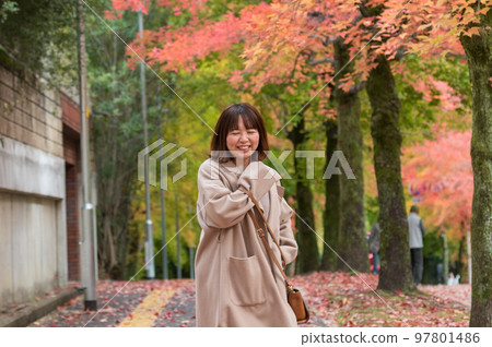 秋葉漫步 秋葉漫步 97801486