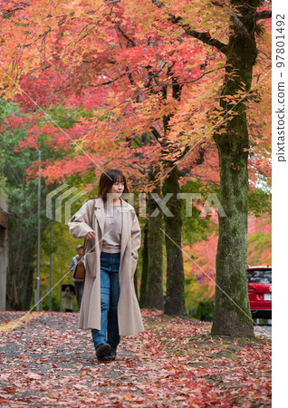 Autumn leaves walk Autumn leaves walk 97801492