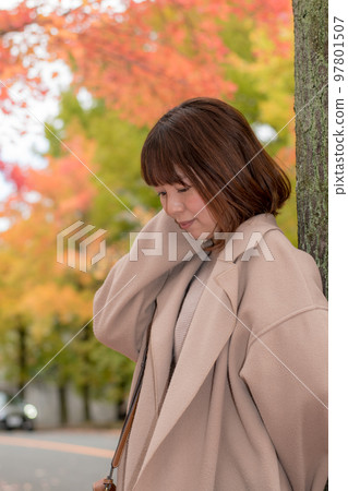 秋葉漫步 秋葉漫步 97801507