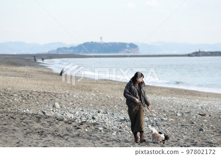 兩隻穿著長毛的吉娃娃在沙灘上行走,背景是江之島和它們的女主人 兩隻穿著長毛的吉娃娃在沙灘上行走,背景是江之島和它們的女主人 97802172