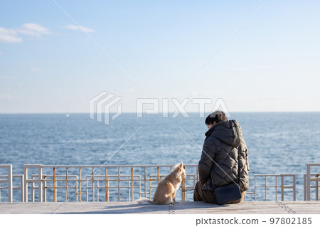 A long-coated Chihuahua of a woman and her pet dog relaxing against the background of the horizon of the winter sea 97802185