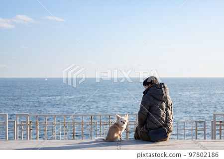A long-coated Chihuahua of a woman and her pet dog relaxing against the background of the horizon of the winter sea 97802186