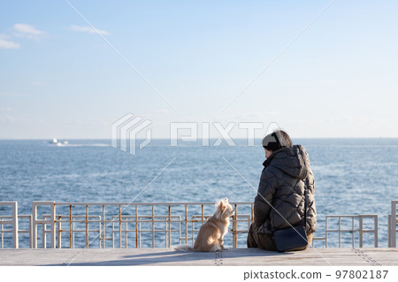 一位婦女和她的寵物狗的長毛吉娃娃在冬海的地平線背景下放鬆 97802187