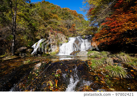 Waterfall flowing through colored plants Waterfall flowing through colored plants 97802421