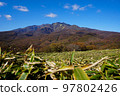 Colored mountains seen from a dense area of bamboo grass 97802426