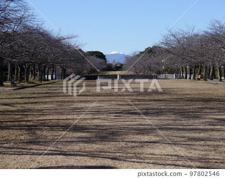 從寶野公園（多摩市）看到的富士山 97802546