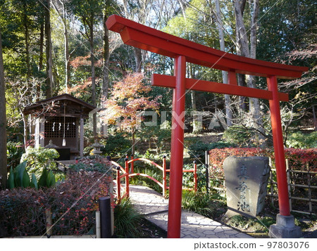 Otaka no Michi/Masugata Pond Spring Group (100 Famous Waters)Masugata Pond 97803076