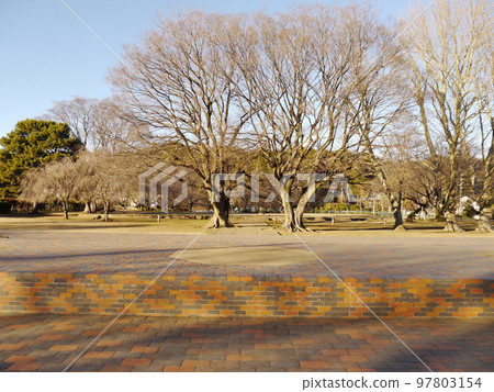 武藏國分寺遺址(國家指定史蹟) 武藏國分寺遺址(國家指定史蹟) 97803154