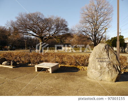 Musashi Kokubun Nunnery Ruins (nationally designated historic site) 97803155