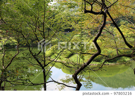 夏末栗林公園 夏末栗林公園 97803216