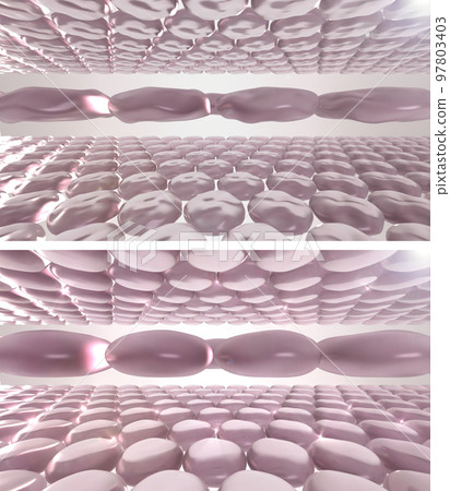 Skin cells before and aster renovation and volumizing beauty treatment. Action of  hyaluronic acid injection, collagen boosting laser therapy, anti wrinkles fillers. 3d rendered illustration 97803403