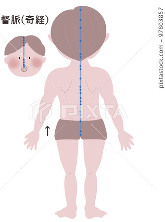 An illustration of a man's body showing the flow of the eight ectopic meridians. 97803857