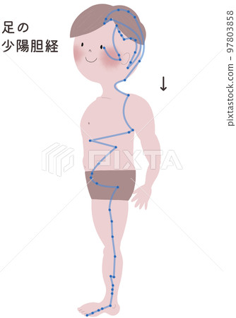 男體足部少陽膽經流出示意圖 97803858