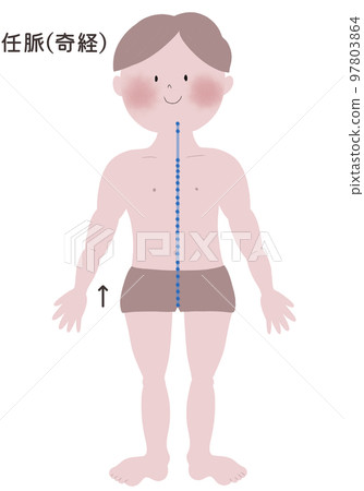 An illustration showing the flow of the eight paradoxical meridians in a male body 97803864