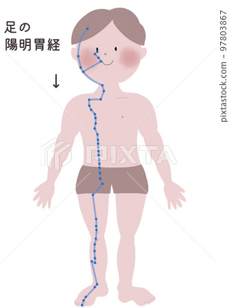 An illustration showing the flow of the Yomei Stomach meridian of the foot in a male body 97803867