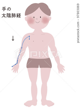 Illustration showing the outflow of the lunar lung meridian of the hand with a male body Illustration showing the outflow of the lunar lung meridian of the hand with a male body 97803869