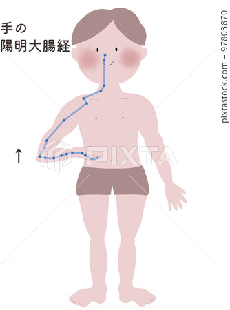 An illustration showing the flow of the Yang Ming large intestine meridian in the hand with a male body 97803870