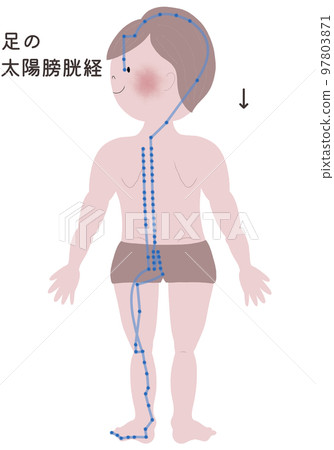 Illustration showing the outflow of the solar bladder meridian in the foot on a male body 97803871