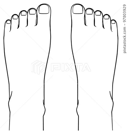 Illustration of the top of the foot seen from above 97803929