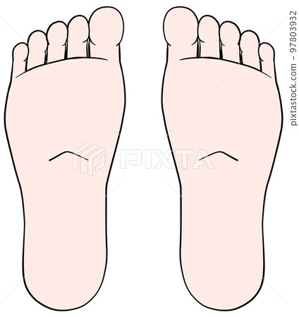 Illustration of soles Both feet Illustration of soles Both feet 97803932