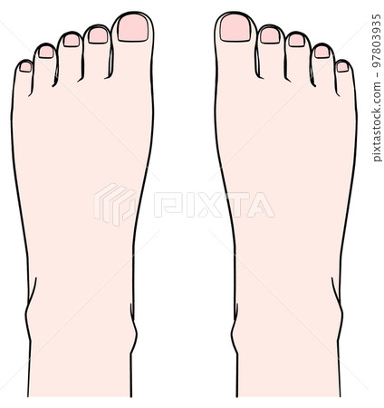 從上面看到的腳的頂部的插圖 97803935