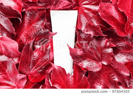 Color of the year 2023 Viva magenta. Mock up cosmetic tube on red wild grape leaves. Moisturizer, shampoo, hand cream, toothpaste. Branding identity mockup. Color of the year 2023 Viva magenta. Mock up cosmetic tube on red wild grape leaves. Moisturizer, shampoo, hand cream, toothpaste. Branding identity mockup. 97804305