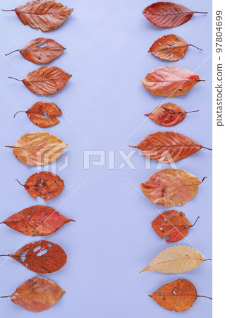 autumn leaves background material 97804699