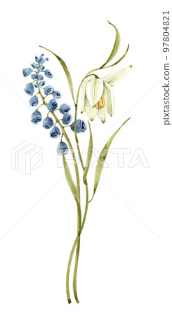 Watercolor delicate bouquet of spring flowers, hand painted. 97804821