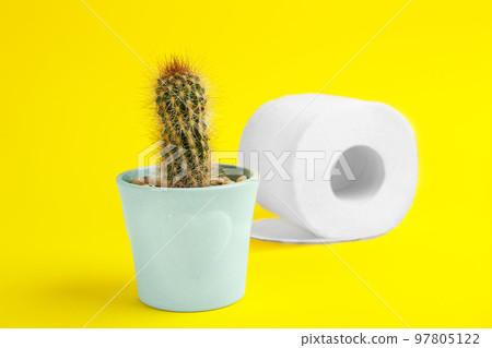Roll of toilet paper and cactus on yellow background. Hemorrhoid problems 97805122