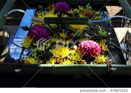 美麗的花水 97805283