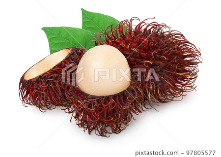 rambutan isolated on white background. Tropical fruit. Nephelium lappaceum rambutan isolated on white background. Tropical fruit. Nephelium lappaceum 97805577