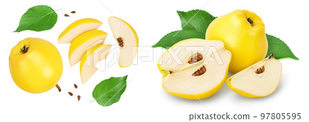 Fresh quince with half and slices isolated on the white background . Top view. Flat lay 97805595
