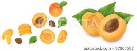 apricot fruit with half and slices isolated on white background.Top view with copy space for your text. Flat lay 97805597