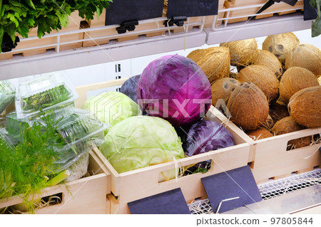 Variety of different vegetables violet and white cabbage, coconuts, fennel on shelves in supermarket. Vitamins and minerals. Variety of different vegetables violet and white cabbage, coconuts, fennel on shelves in supermarket. Vitamins and minerals. 97805844