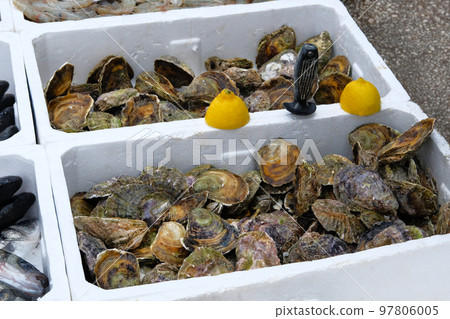 Oysters in containers are sold in port. Fish market. 97806005