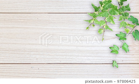 Wood grain material and green 97806425