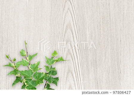 木紋材質和綠色 97806427