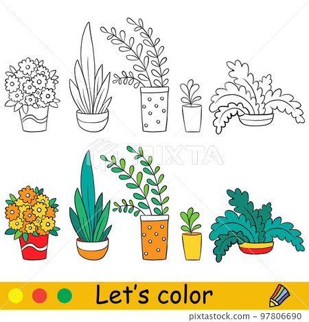 House plants coloring page with template vector 97806690