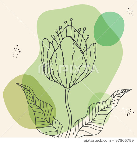Flower outline in abstract green and beige background. Simple botanical art. Vector illustration 97806799