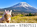 New Year rabbit costume cat with Mt.Fuji in the background 97807511
