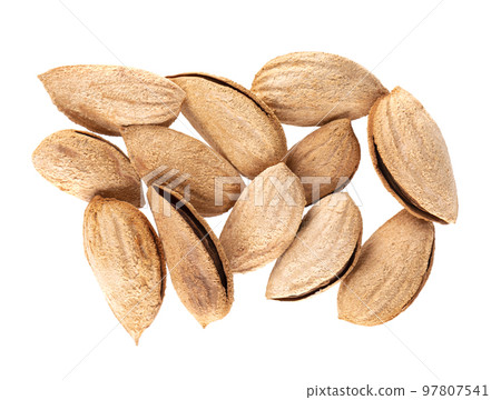 Mountain almonds isolated on white background. Uzbek wild almonds. Clipping path. Top view. Mountain almonds isolated on white background. Uzbek wild almonds. Clipping path. Top view. 97807541