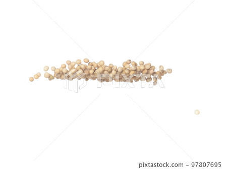 Soy Bean flying explosion, yellow grain beans explode abstract cloud fly. Beautiful complete seed pea soy bean splash in air, food object design. Selective focus freeze shot white background isolated Soy Bean flying explosion, yellow grain beans explode abstract cloud fly. Beautiful complete seed pea soy bean splash in air, food object design. Selective focus freeze shot white background isolated 97807695